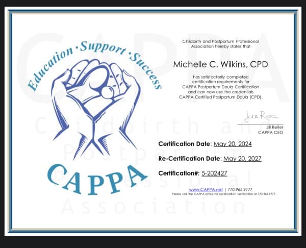 Wilkins, Michelle — doula training — photo 2