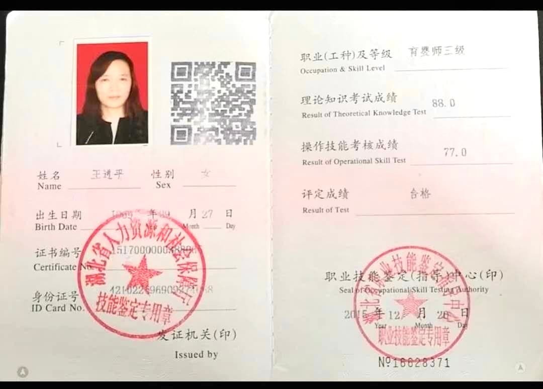 Jinping Wang — photo 2