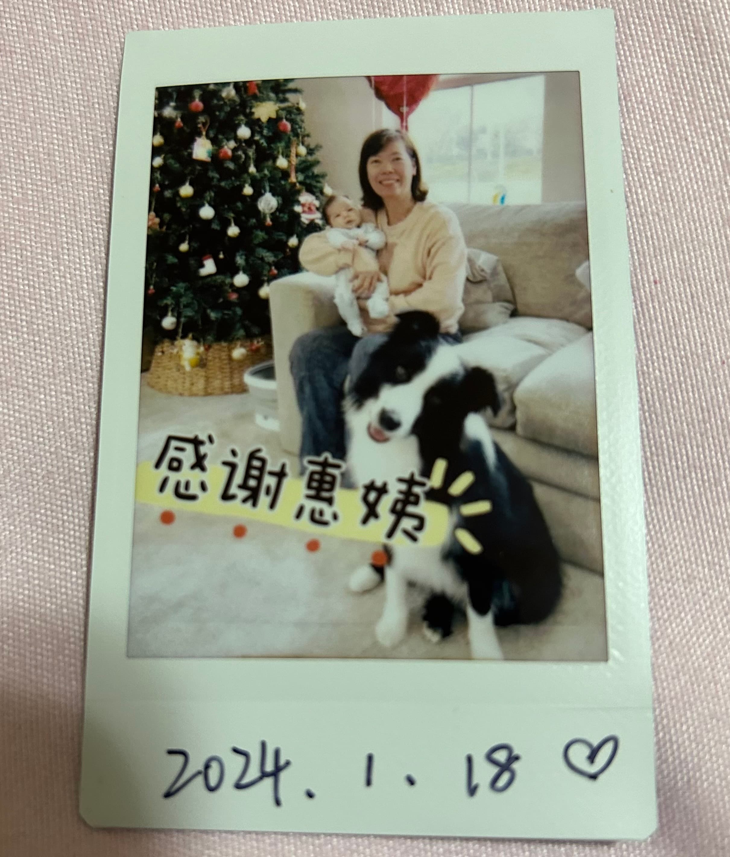 黄志惠 — photo 10